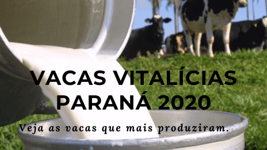Vacas Vitalícias: veja as que mais produziram no Paraná em 2020